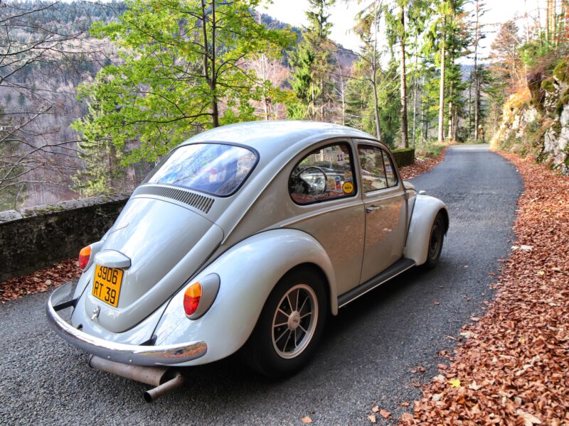 1967 vw standard