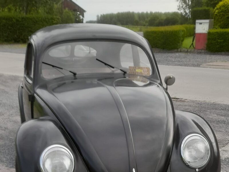 1949 belge