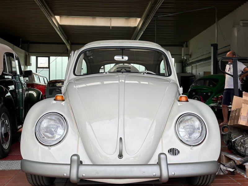 1964 Ragtop Standard